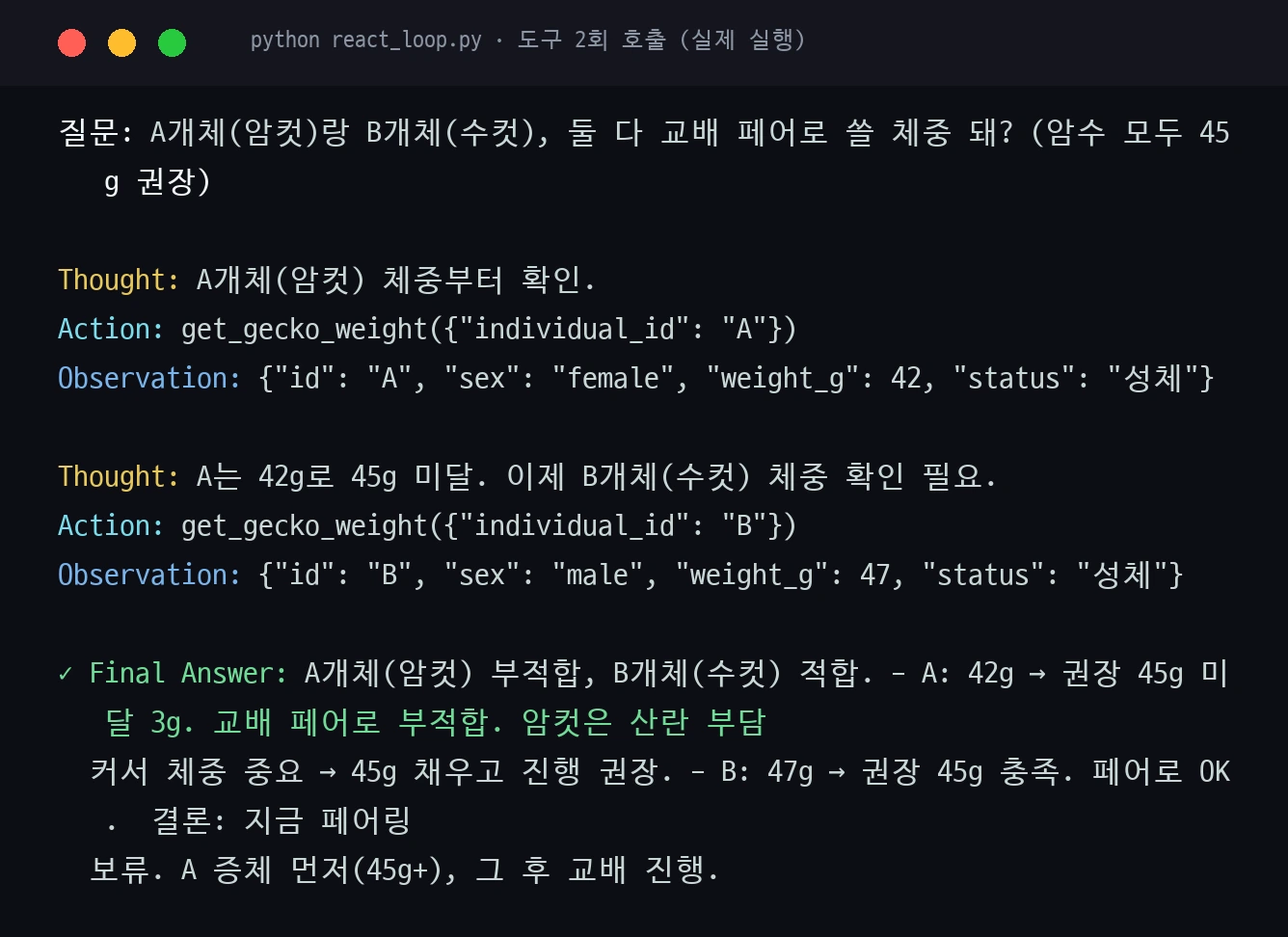 멀티스텝 ReAct 실행 캡처 — get_gecko_weight를 A·B 두 번 호출해 페어 체중 비교