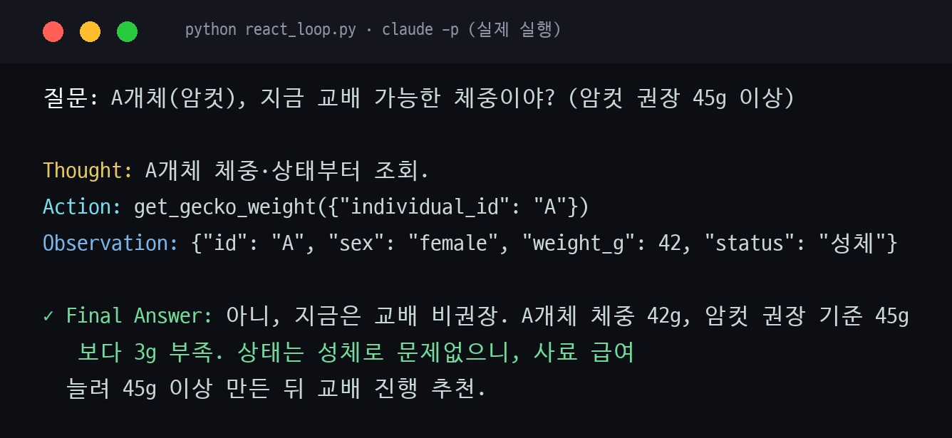 ReAct 루프 실제 실행 캡처 — Thought, Action(get_gecko_weight), Observation(42g), Final Answer
