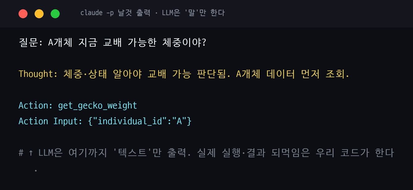 claude 날것 출력 — Thought와 Action/Action Input 텍스트만 출력, 실행은 코드가