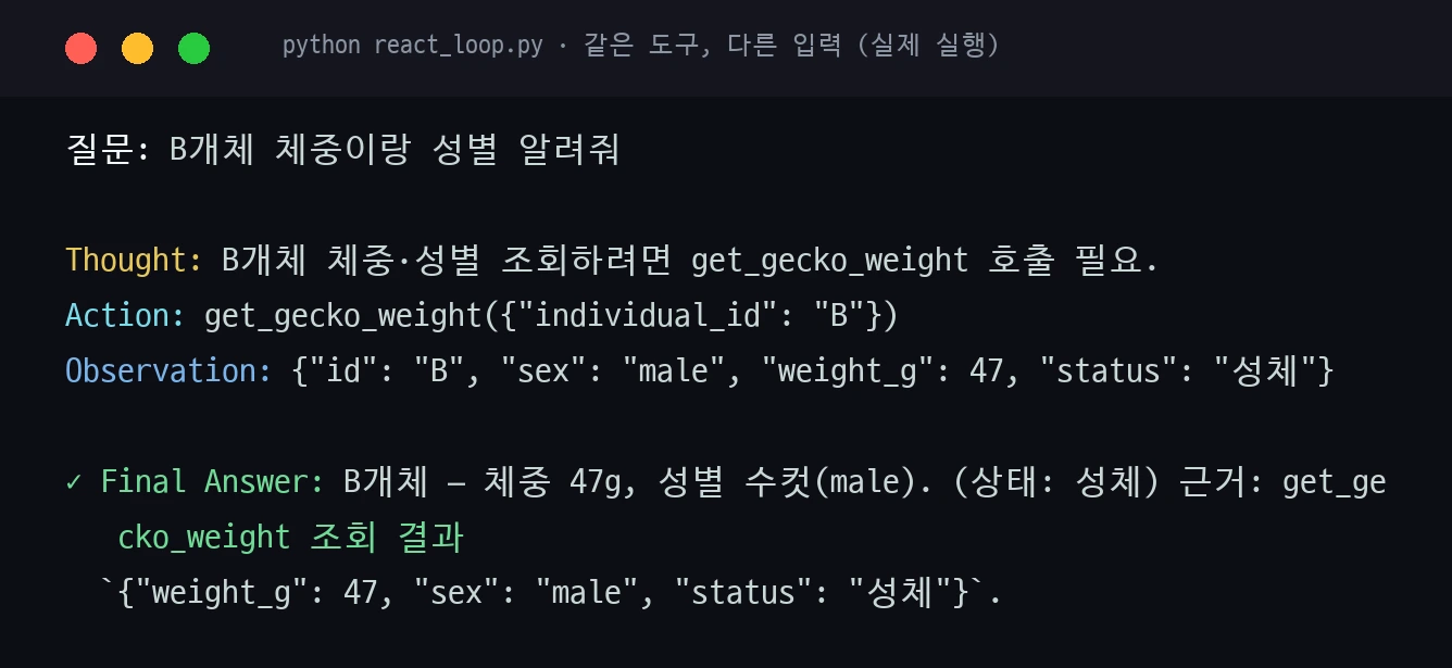 같은 도구 다른 입력 — B개체 조회 캡처
