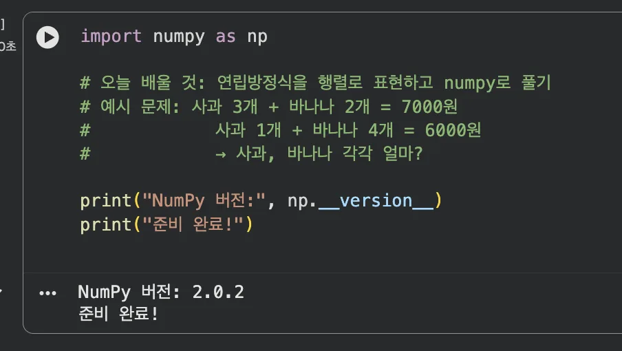 Jupyter Notebook NumPy import 및 문제 설명 셀