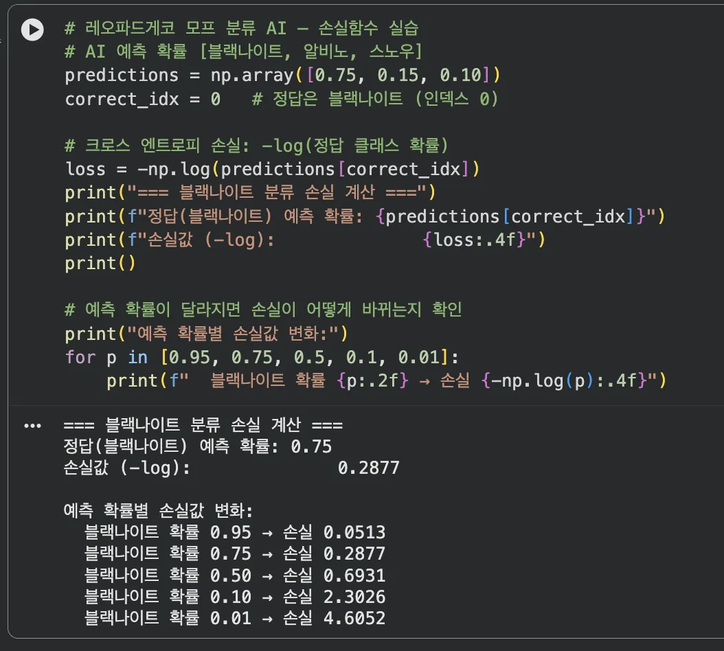 레오파드게코 모프 분류 AI 손실함수 실습 결과