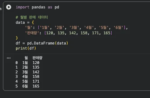 pandas DataFrame 출력 - 월별 판매 데이터