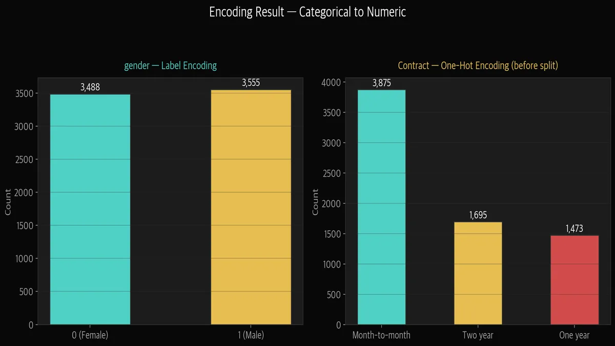 인코딩 결과 — gender Label, Contract One-Hot