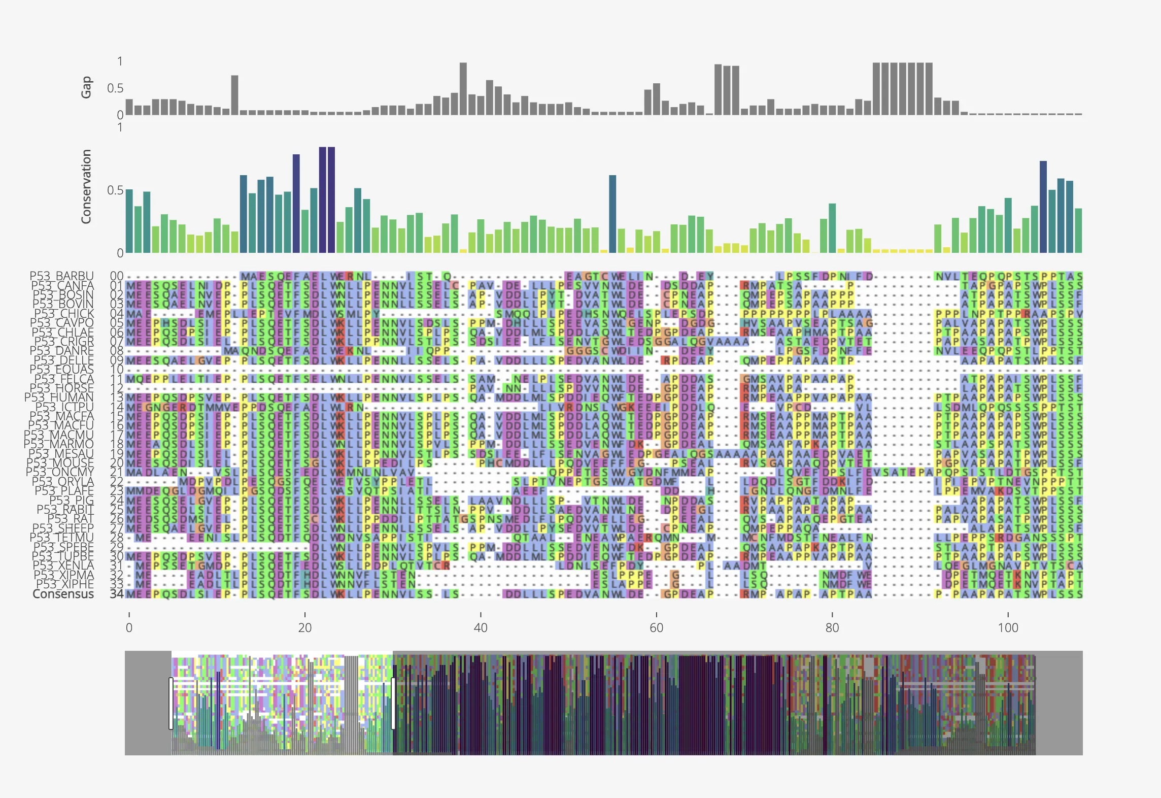 Bioinformatics Visualization