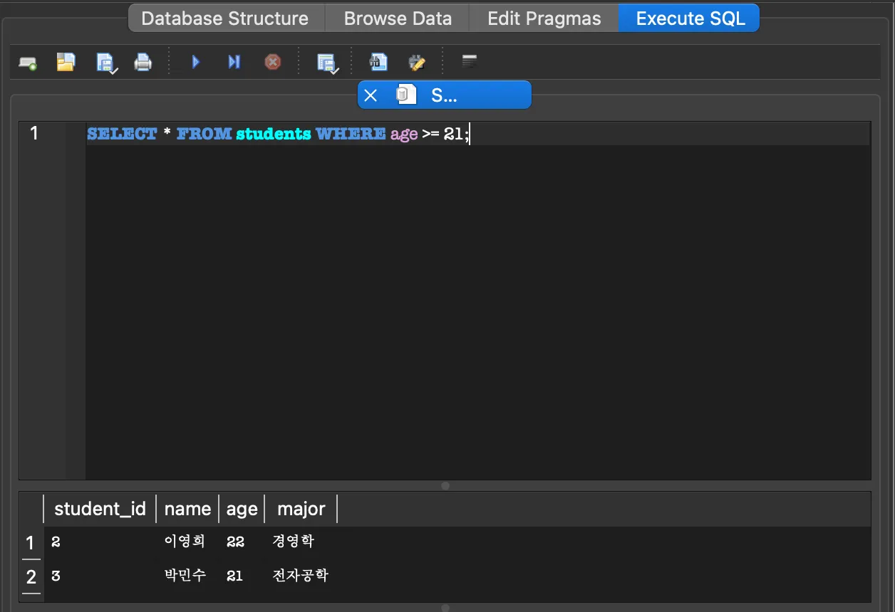 SELECT 쿼리 실행 결과